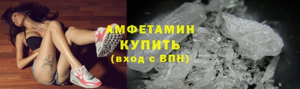 тгк Володарск